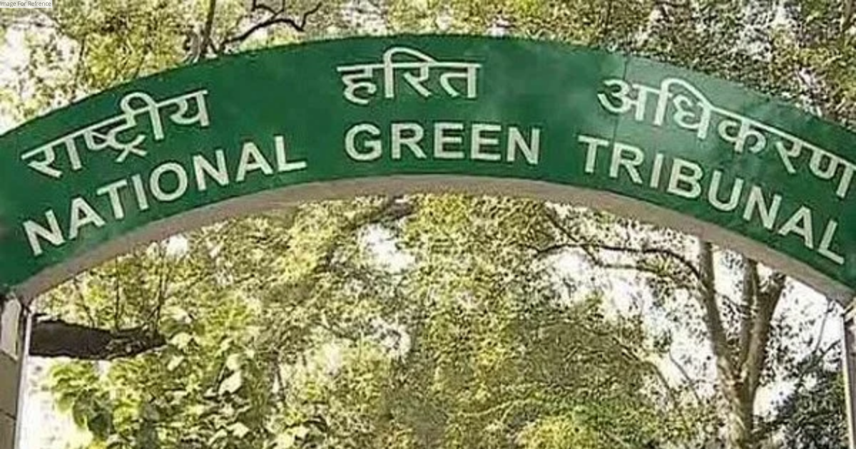 NGT directs additional chief secy to take remedial actions against illegal gypsum mining near Indo-Pak border